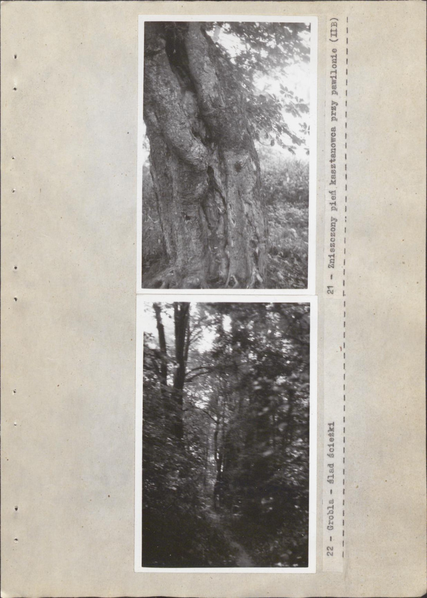 EP - Ewidencja parkowa, skan nr 41