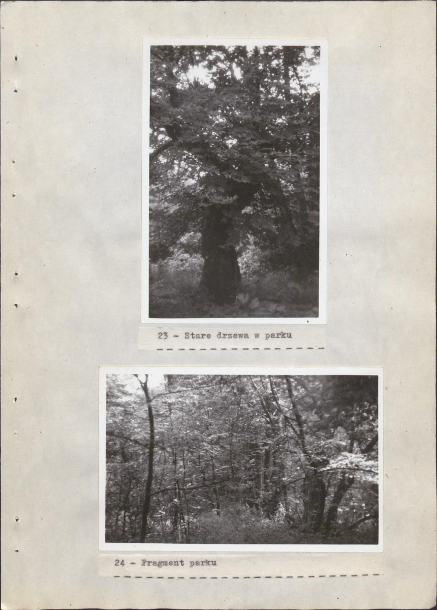 EP - Ewidencja parkowa, skan nr 42