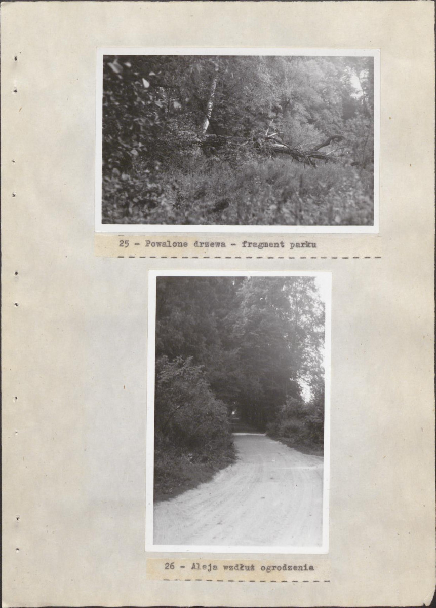 EP - Ewidencja parkowa, skan nr 43