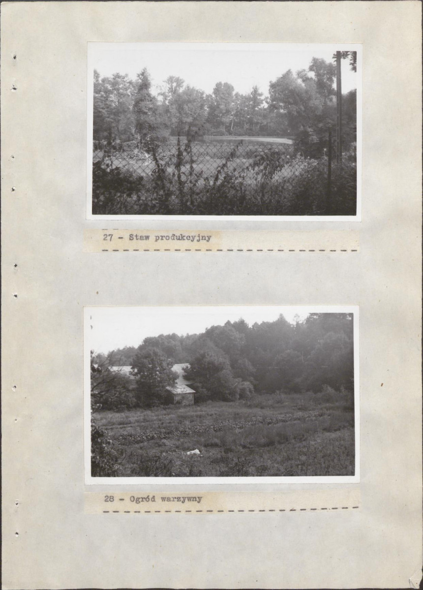 EP - Ewidencja parkowa, skan nr 44