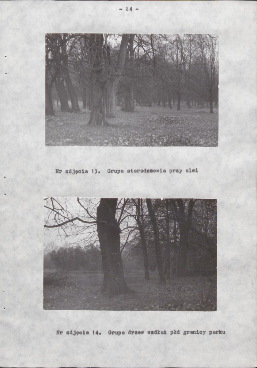 Ewidencja parkowa, skan nr 28