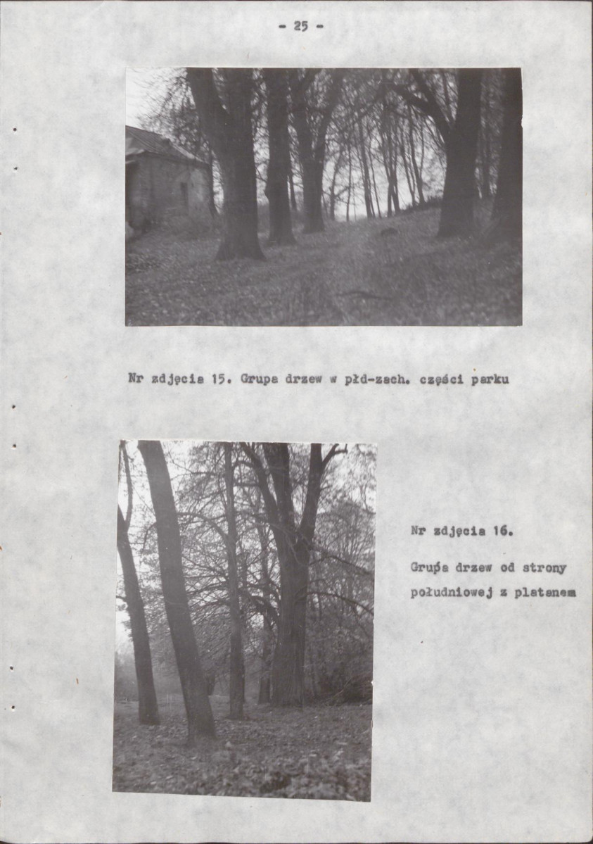 Ewidencja parkowa, skan nr 29