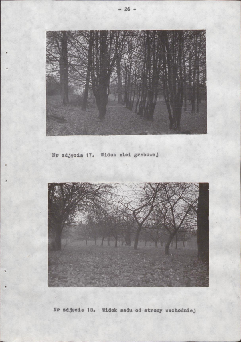 Ewidencja parkowa, skan nr 30