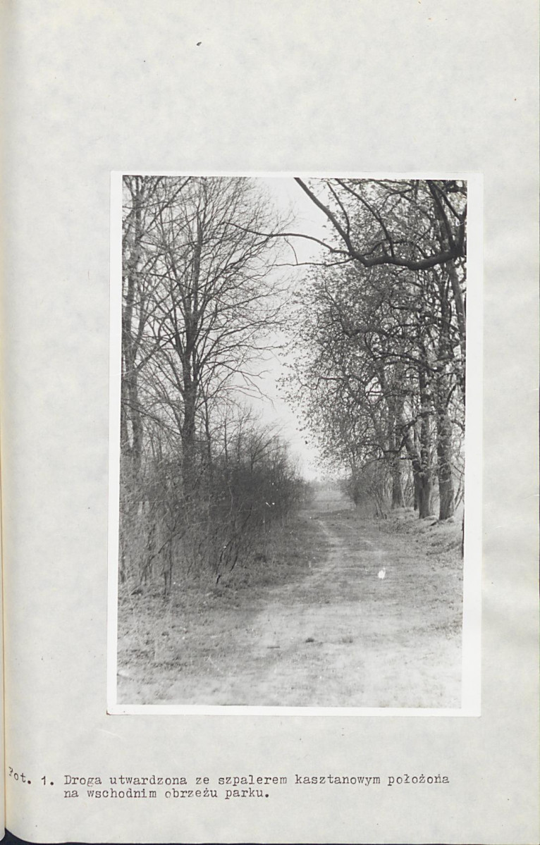 Ewidencja parkowa, skan nr 25