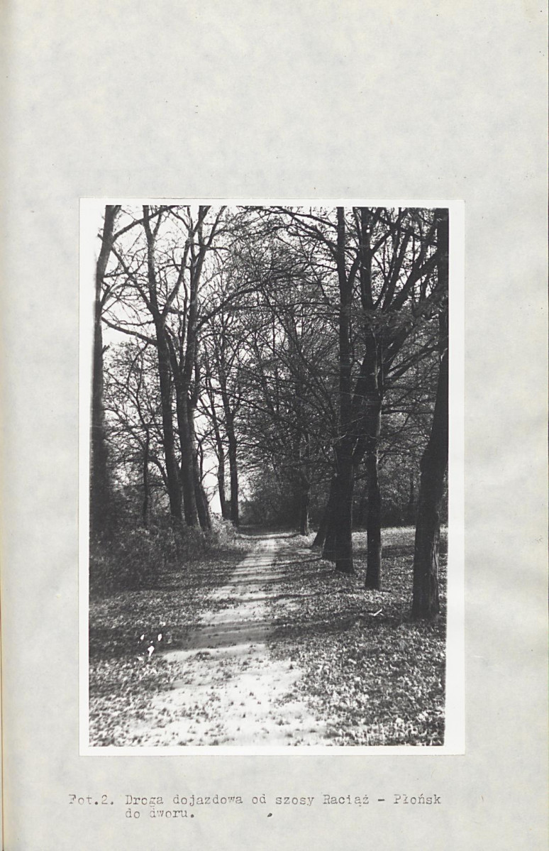 Ewidencja parkowa, skan nr 26