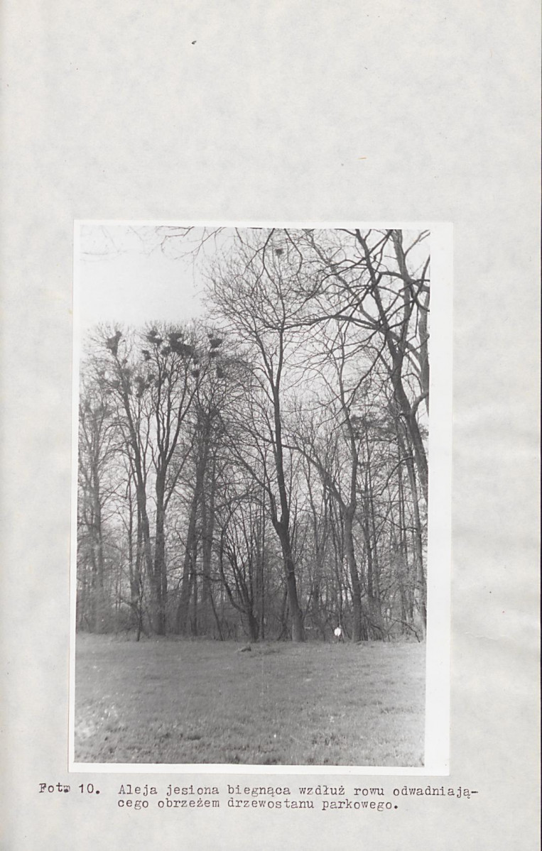 Ewidencja parkowa, skan nr 35