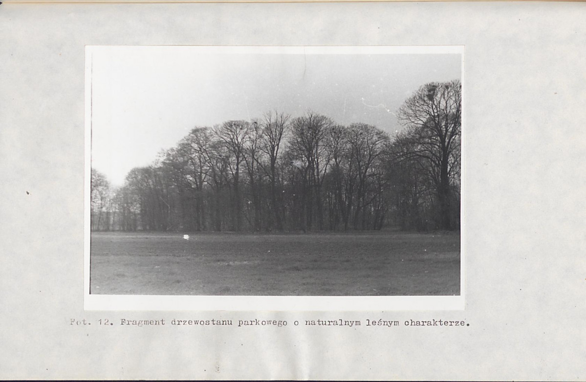 Ewidencja parkowa, skan nr 37