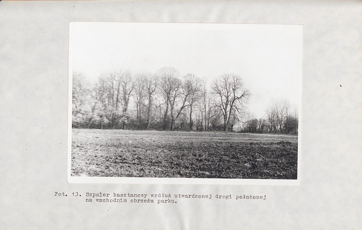 Ewidencja parkowa, skan nr 38