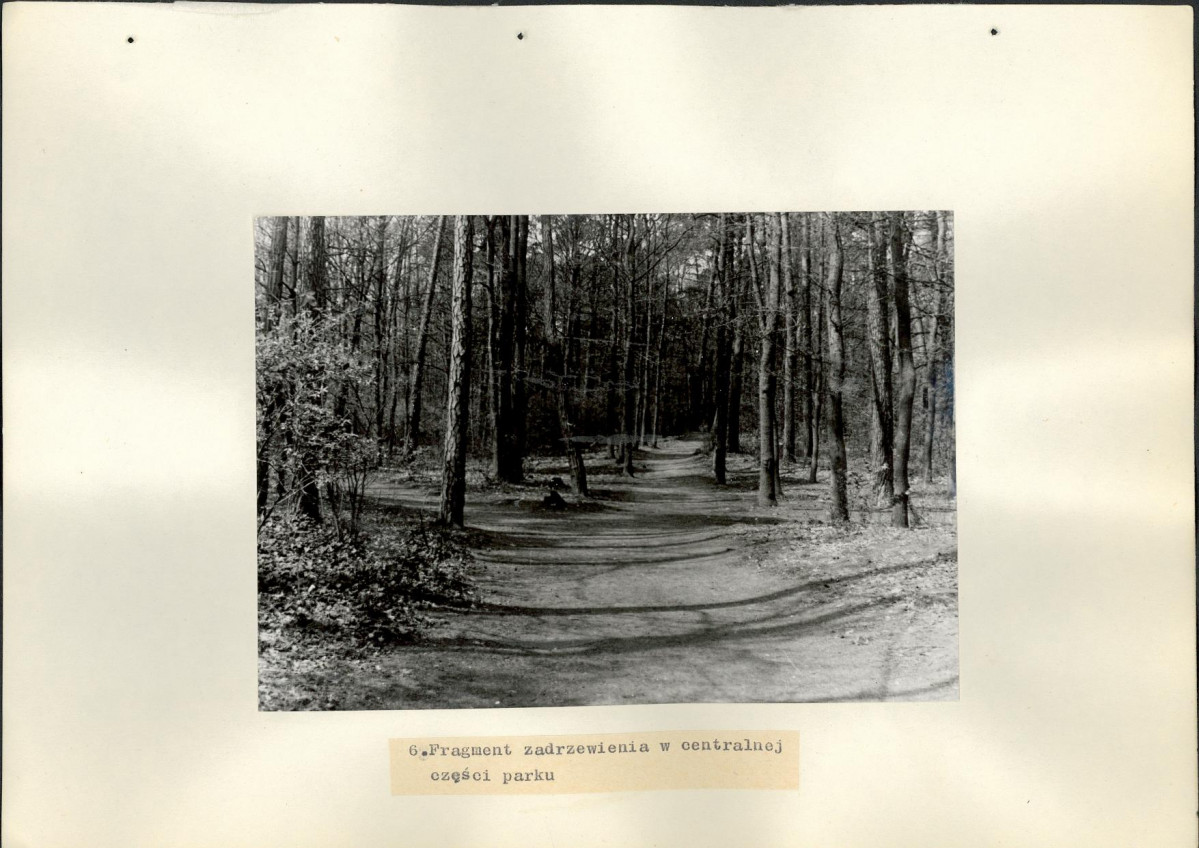 EP - Ewidencja parkowa, skan nr 19