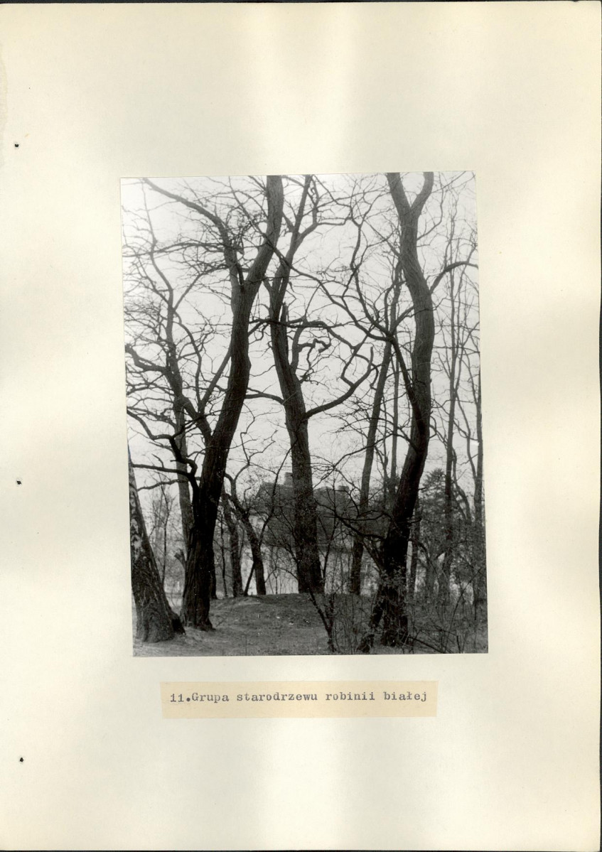 EP - Ewidencja parkowa, skan nr 24