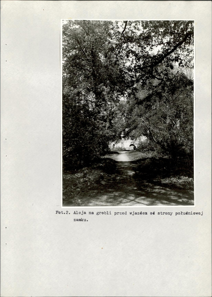 EP - Ewidencja parkowa, skan nr 24