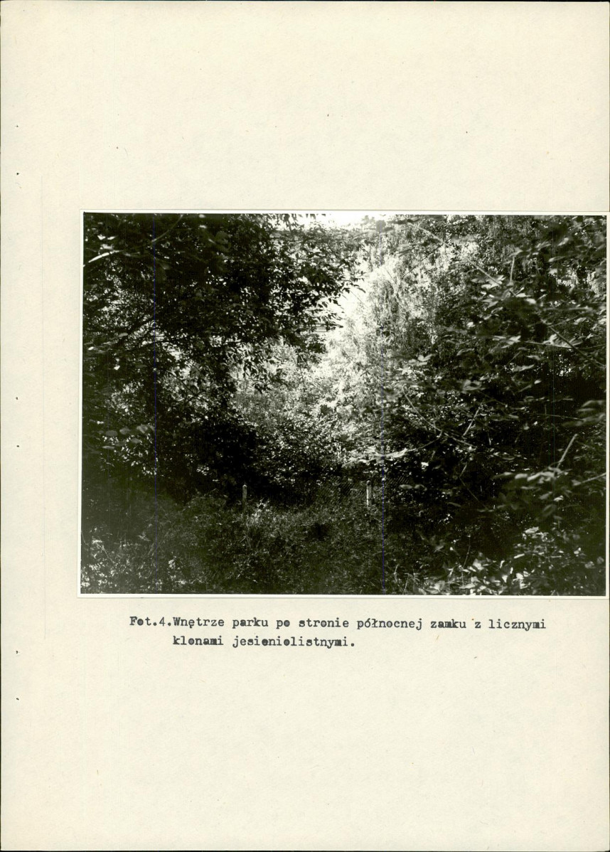 EP - Ewidencja parkowa, skan nr 26