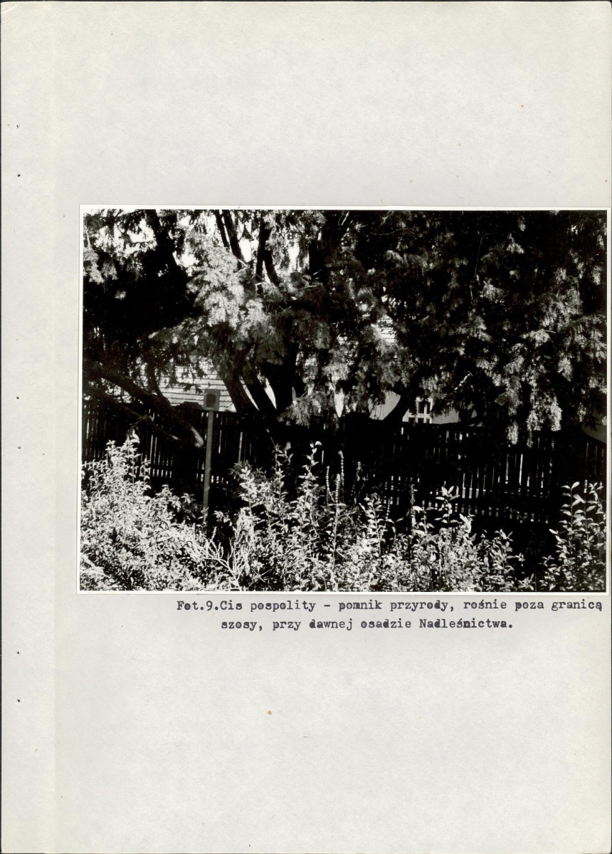 EP - Ewidencja parkowa, skan nr 31