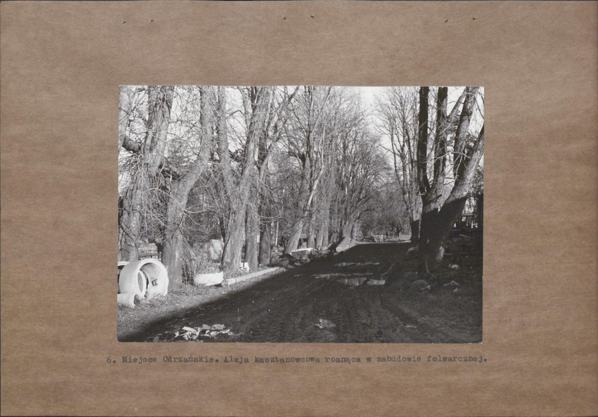 EP - Ewidencja parkowa, skan nr 20