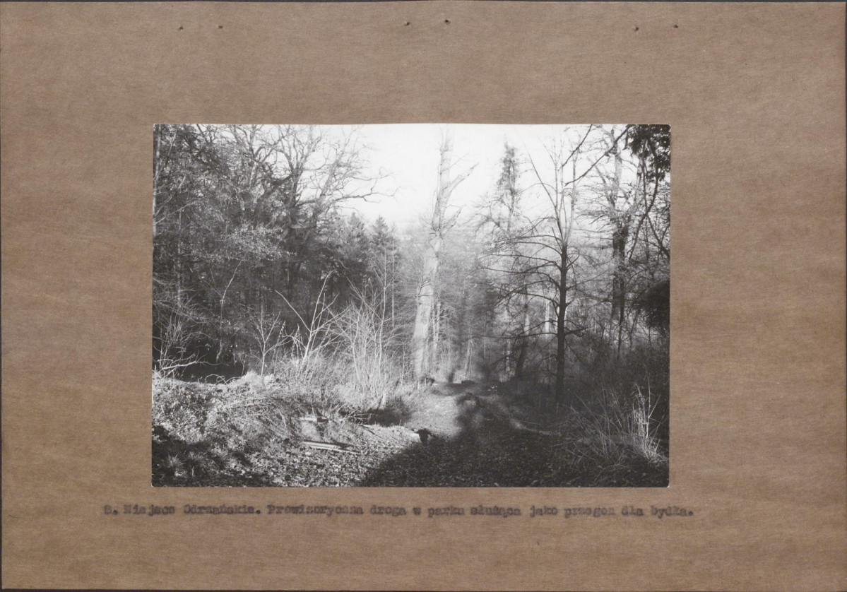 EP - Ewidencja parkowa, skan nr 22