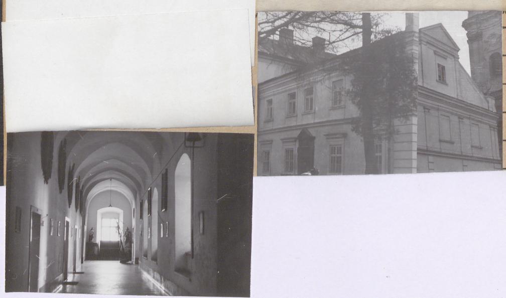 Karta zielona, skan nr 6