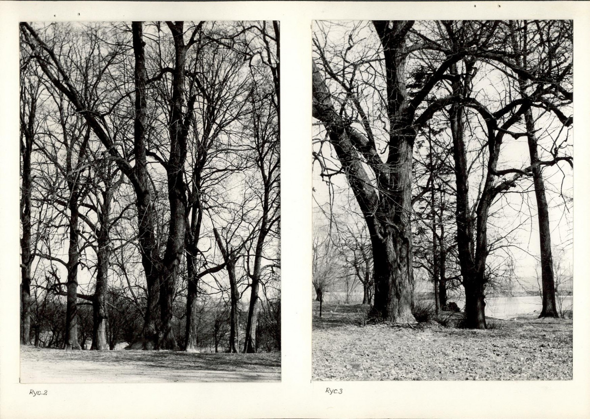 Ewidencja parkowa, skan nr 14