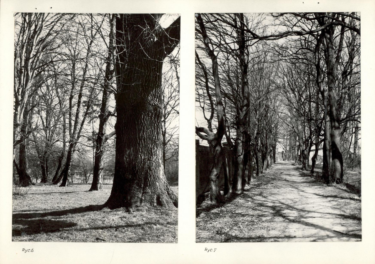 Ewidencja parkowa, skan nr 16