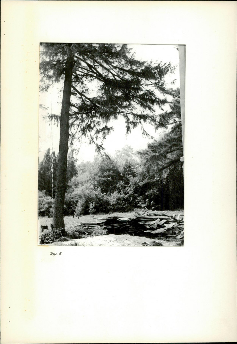 Ewidencja parkowa, skan nr 16