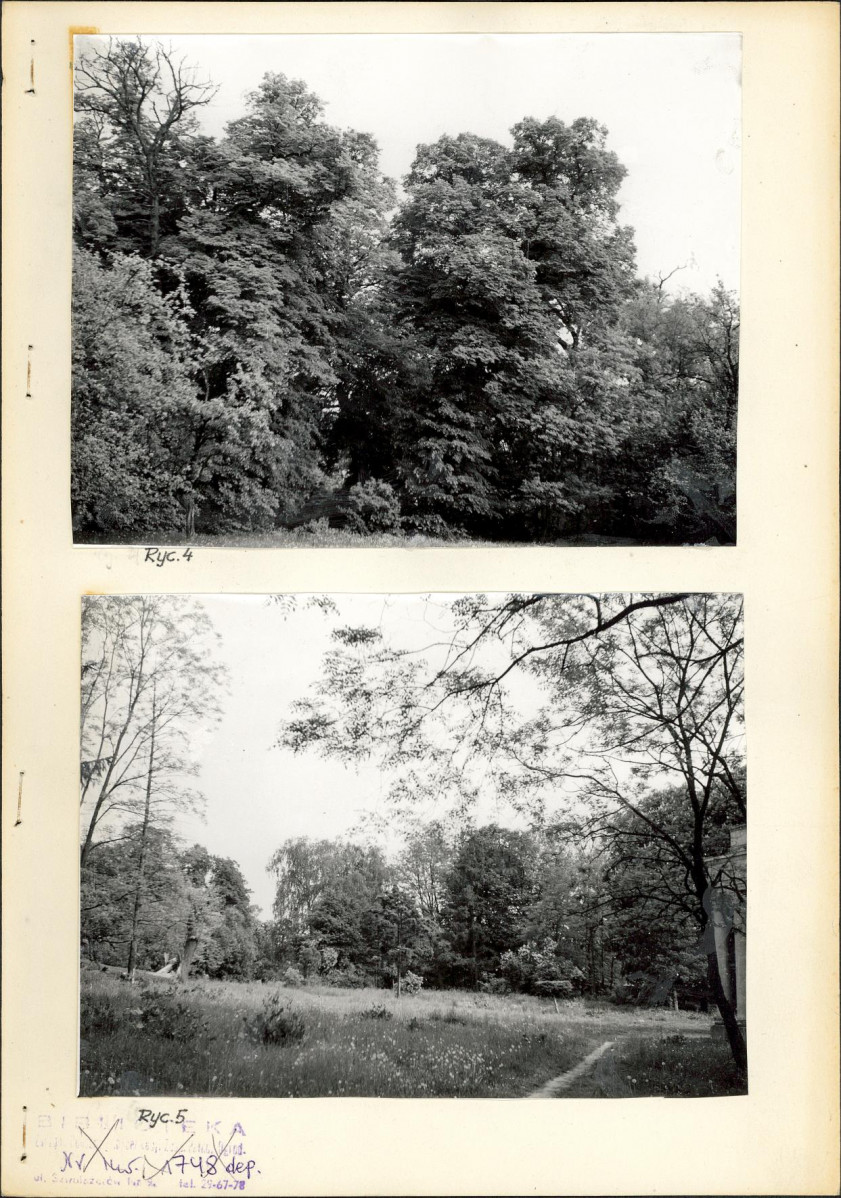 Ewidencja parkowa, skan nr 19