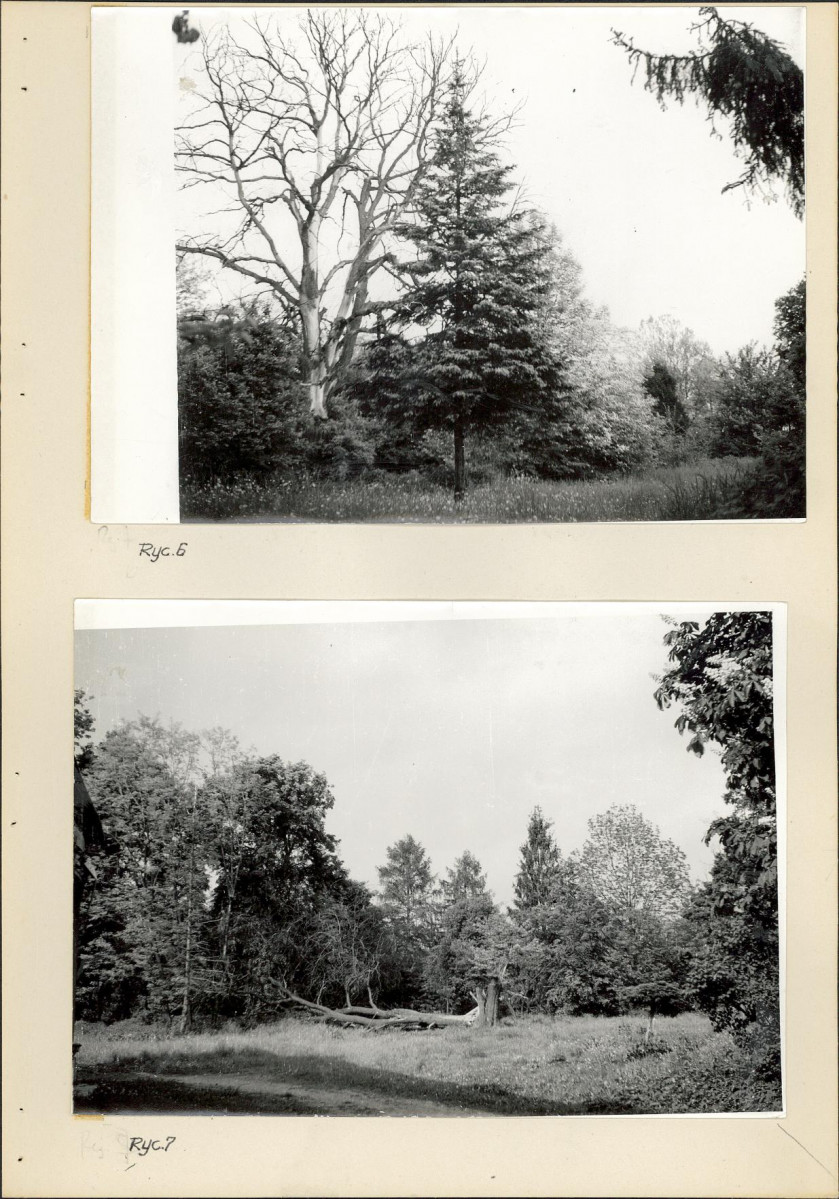 Ewidencja parkowa, skan nr 20