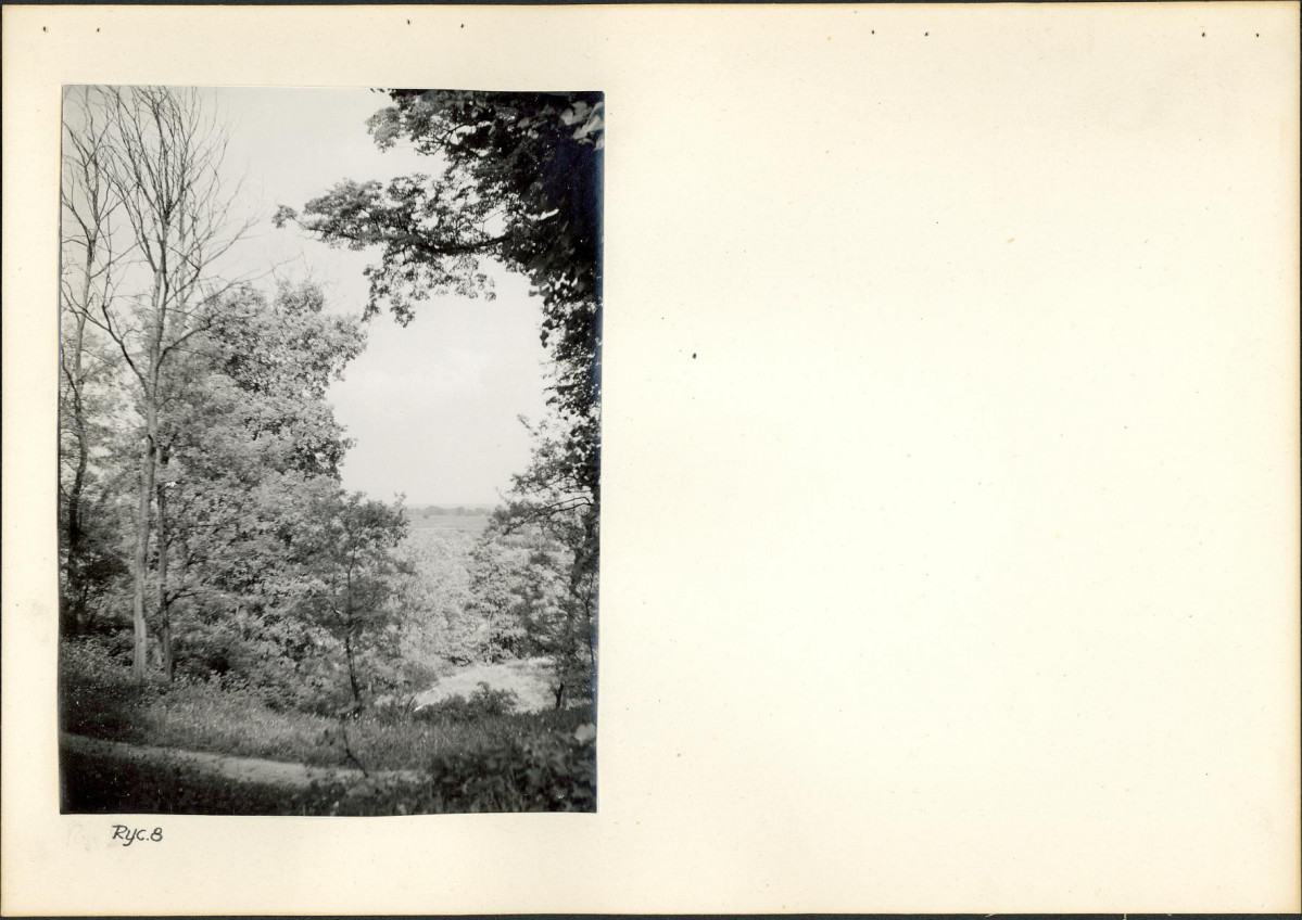 Ewidencja parkowa, skan nr 21