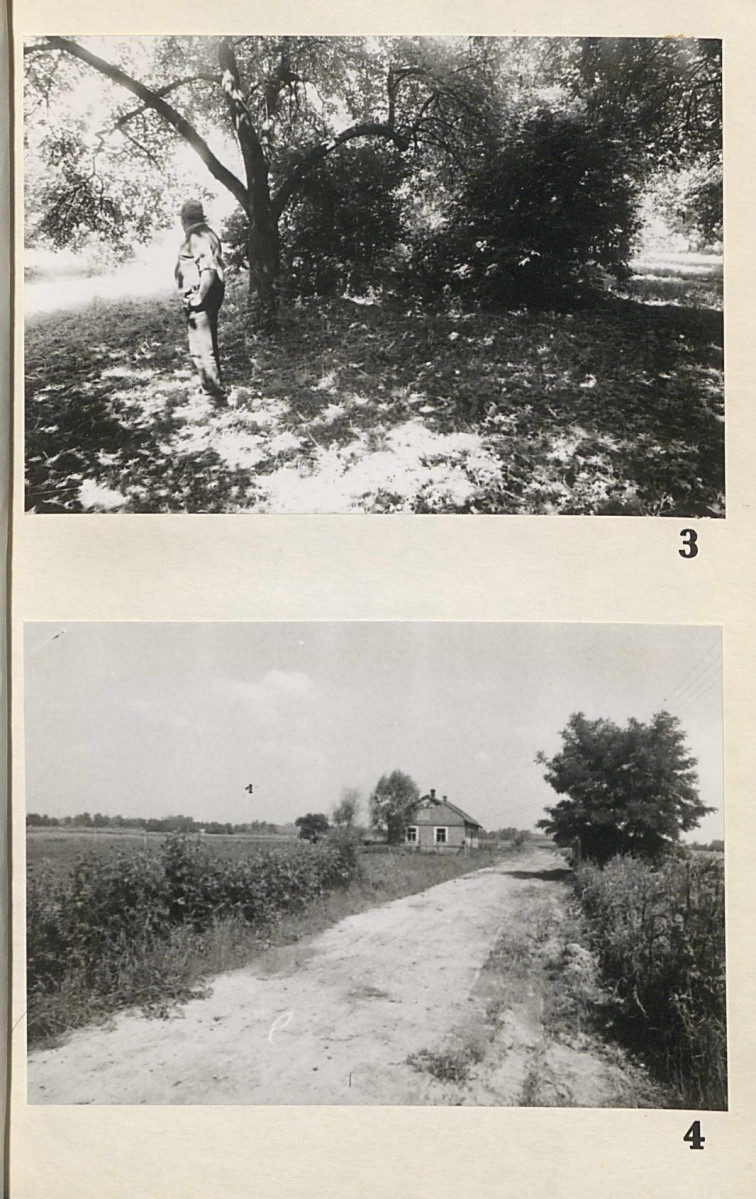 EP - Ewidencja parkowa, skan nr 23