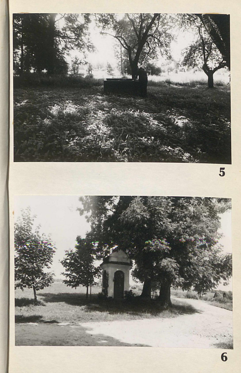 EP - Ewidencja parkowa, skan nr 24