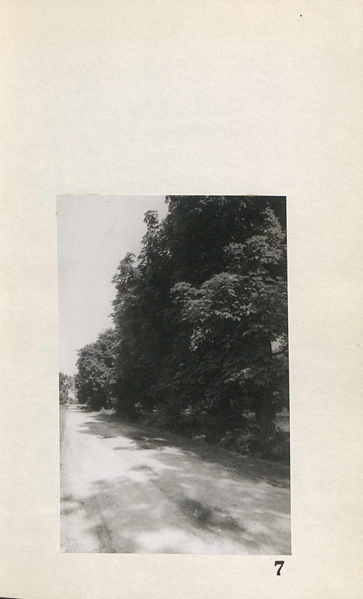 EP - Ewidencja parkowa, skan nr 25