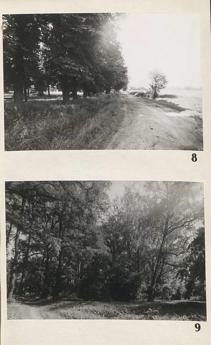 EP - Ewidencja parkowa, skan nr 26