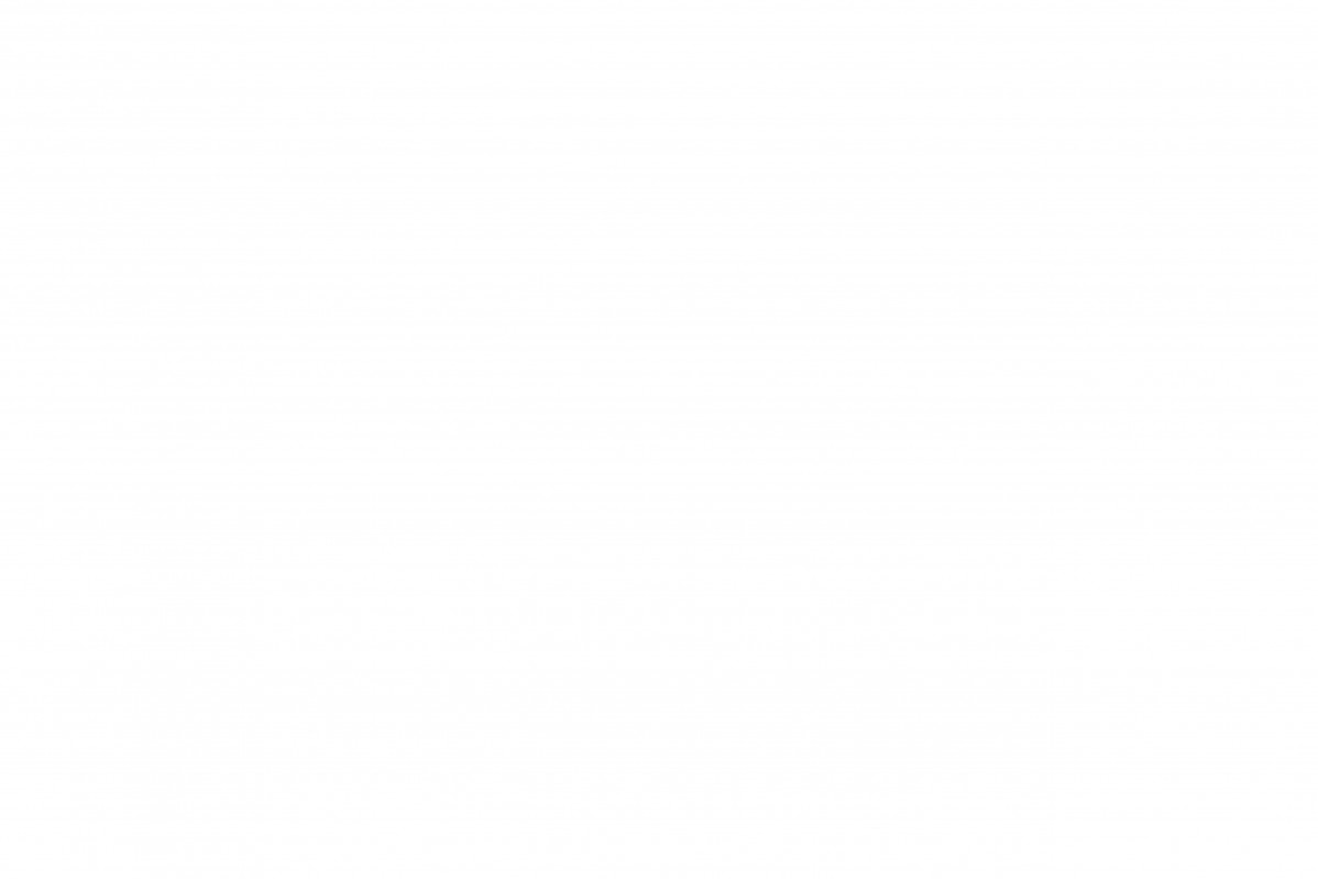 EP - Ewidencja parkowa, skan nr 31