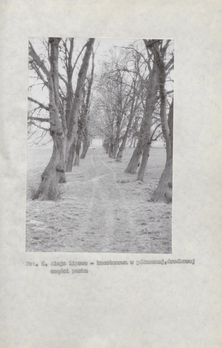 EP - Ewidencja parkowa, skan nr 38