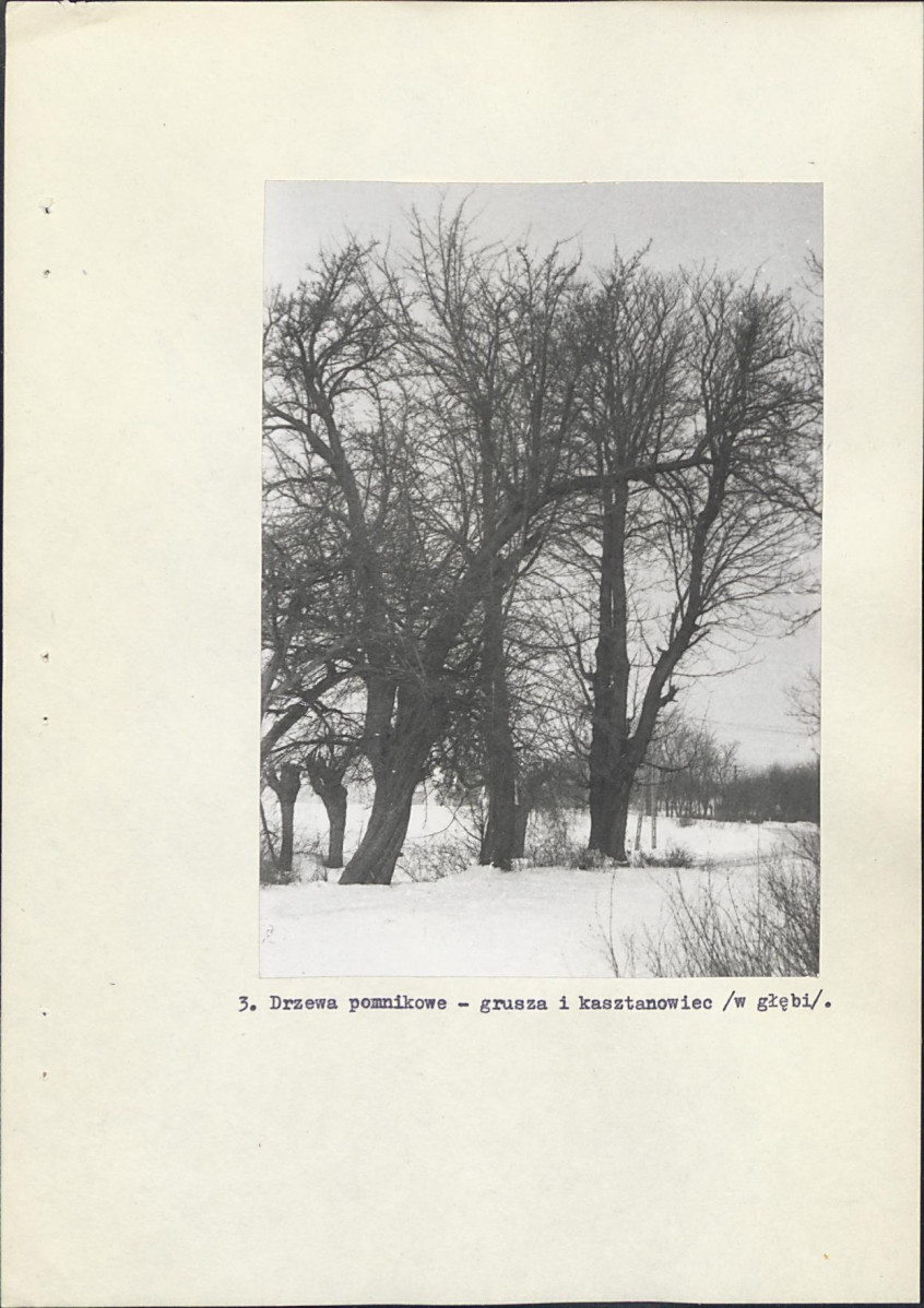 Ewidencja parkowa, skan nr 27