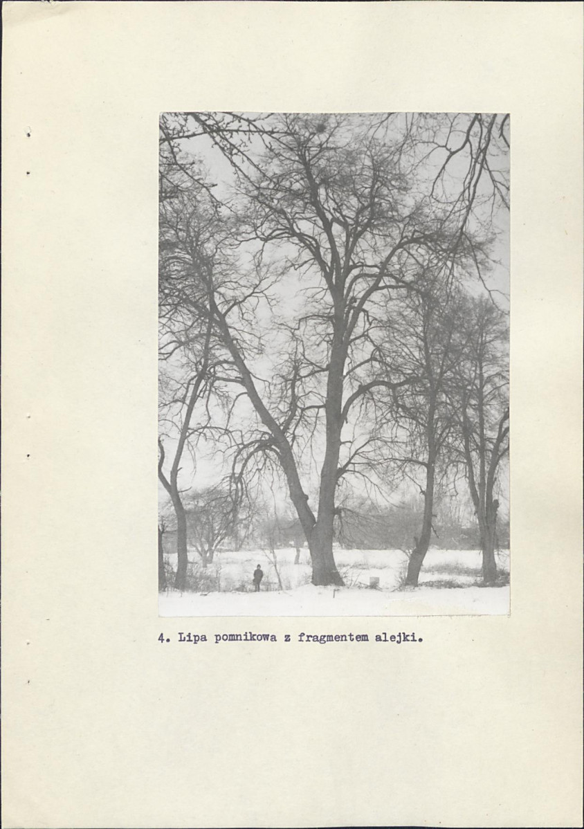 Ewidencja parkowa, skan nr 28