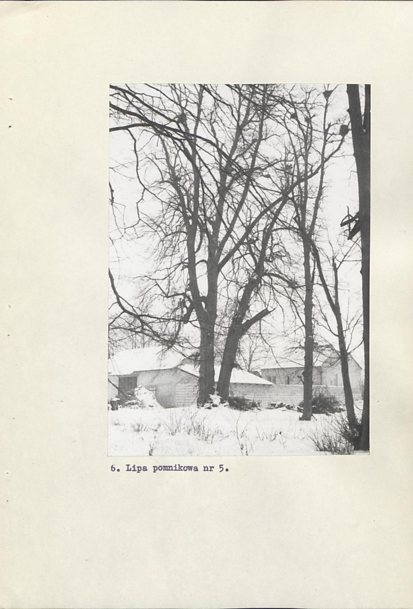 Ewidencja parkowa, skan nr 30