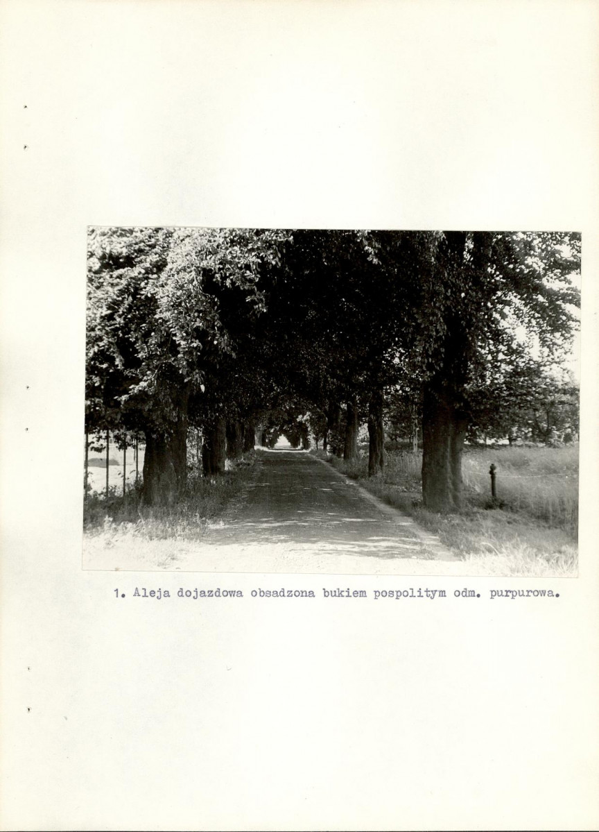 Ewidencja parkowa, skan nr 25