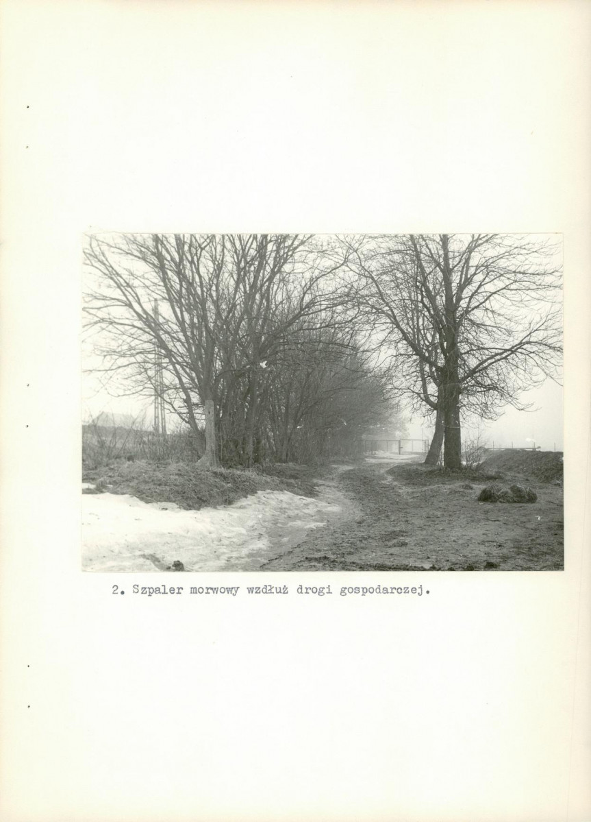 Ewidencja parkowa, skan nr 26