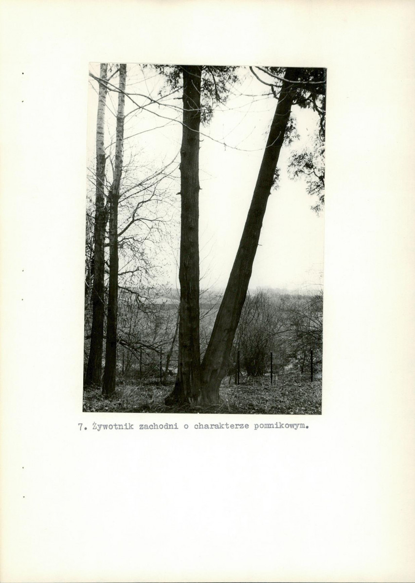 Ewidencja parkowa, skan nr 31