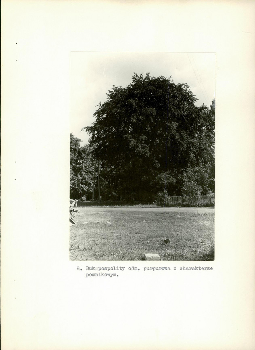 Ewidencja parkowa, skan nr 32