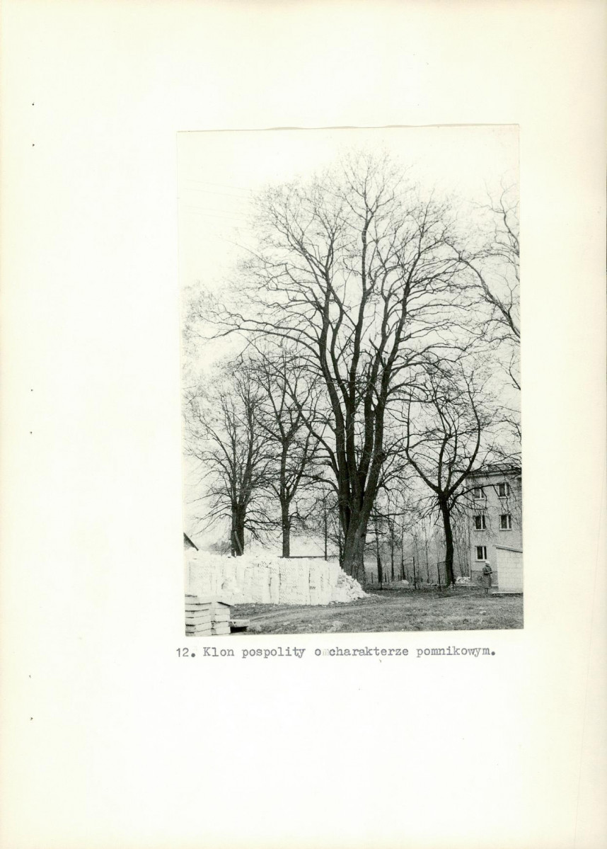 Ewidencja parkowa, skan nr 36