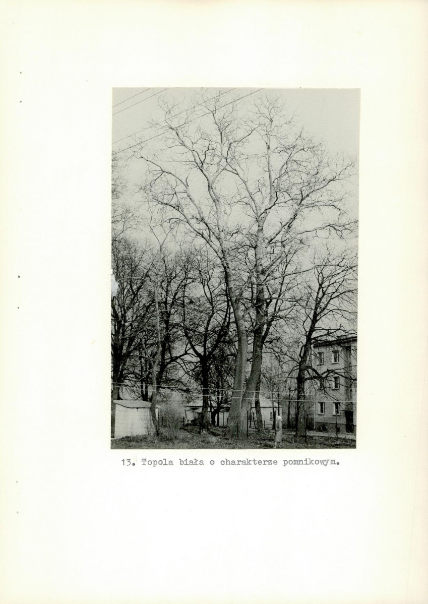 Ewidencja parkowa, skan nr 37