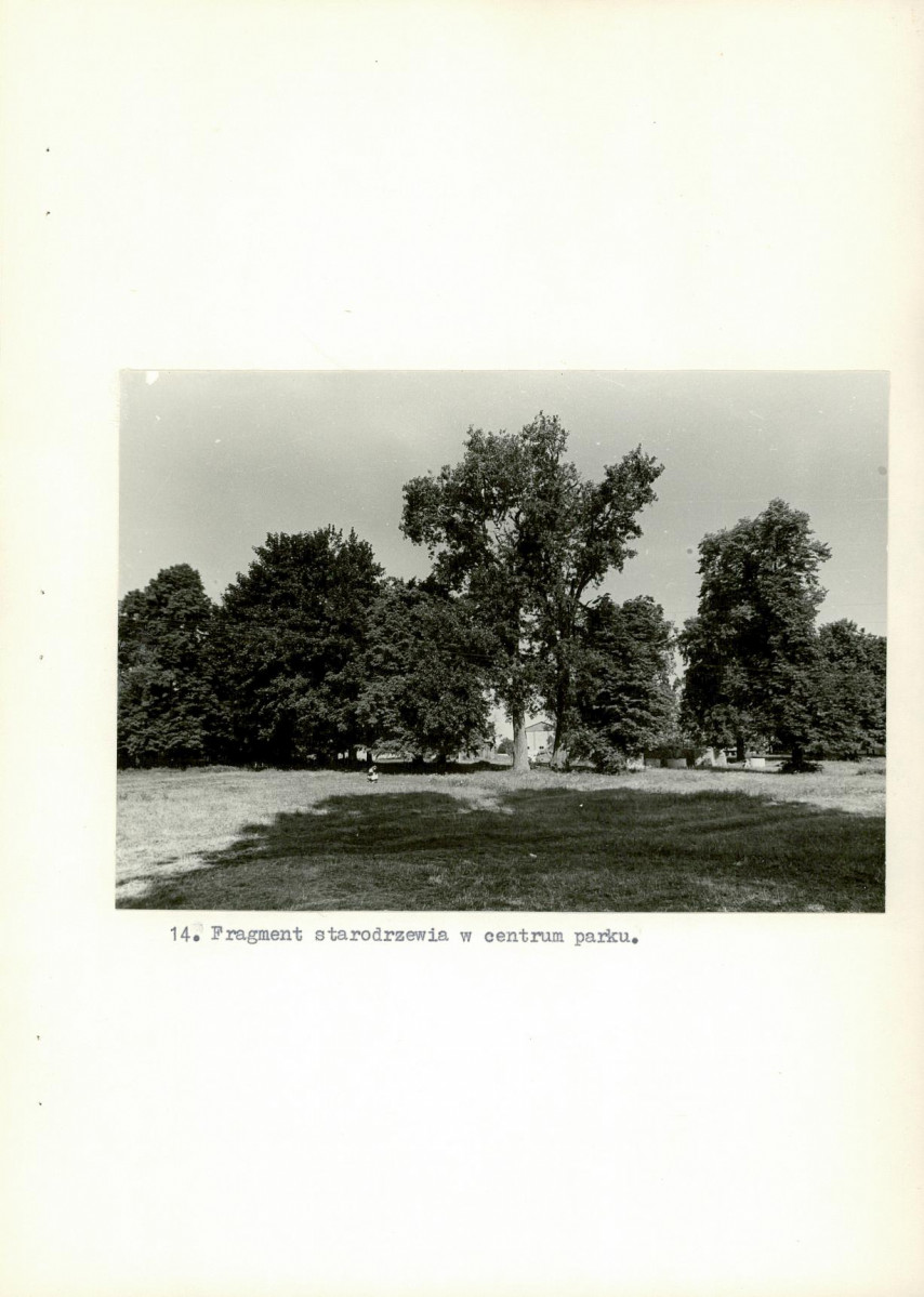 Ewidencja parkowa, skan nr 38