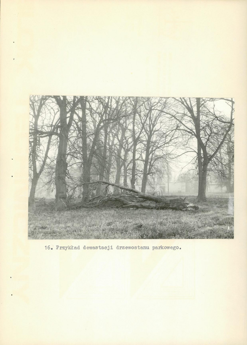 Ewidencja parkowa, skan nr 40