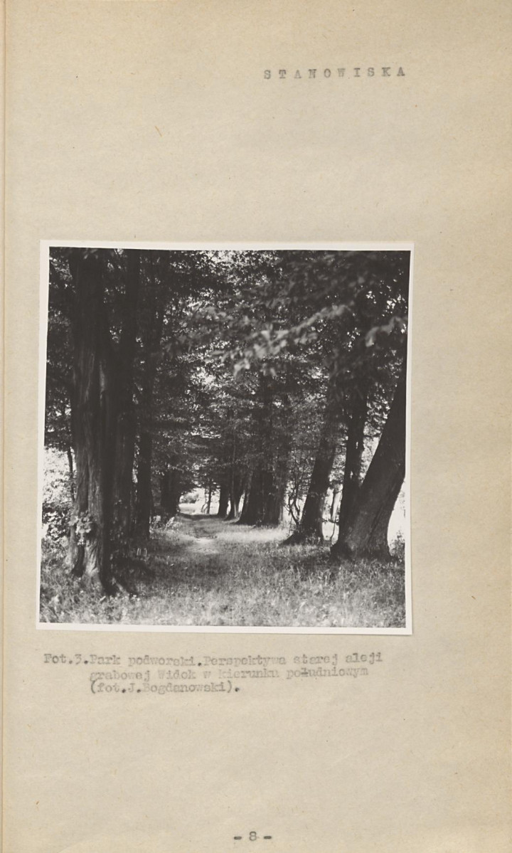 Ewidencja parkowa, skan nr 11