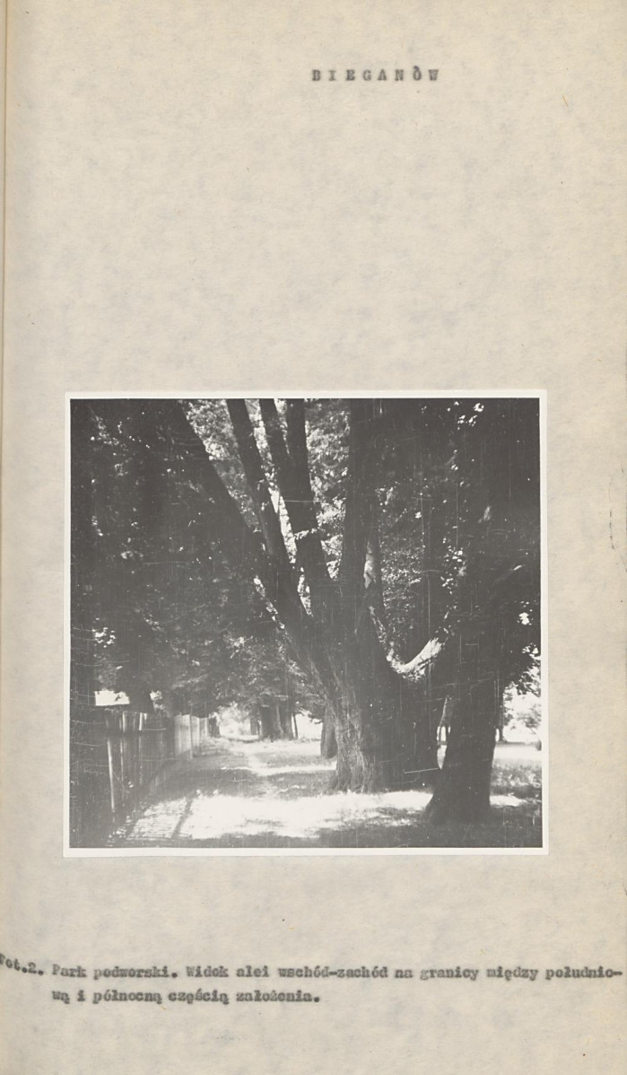 Ewidencja parkowa, skan nr 15