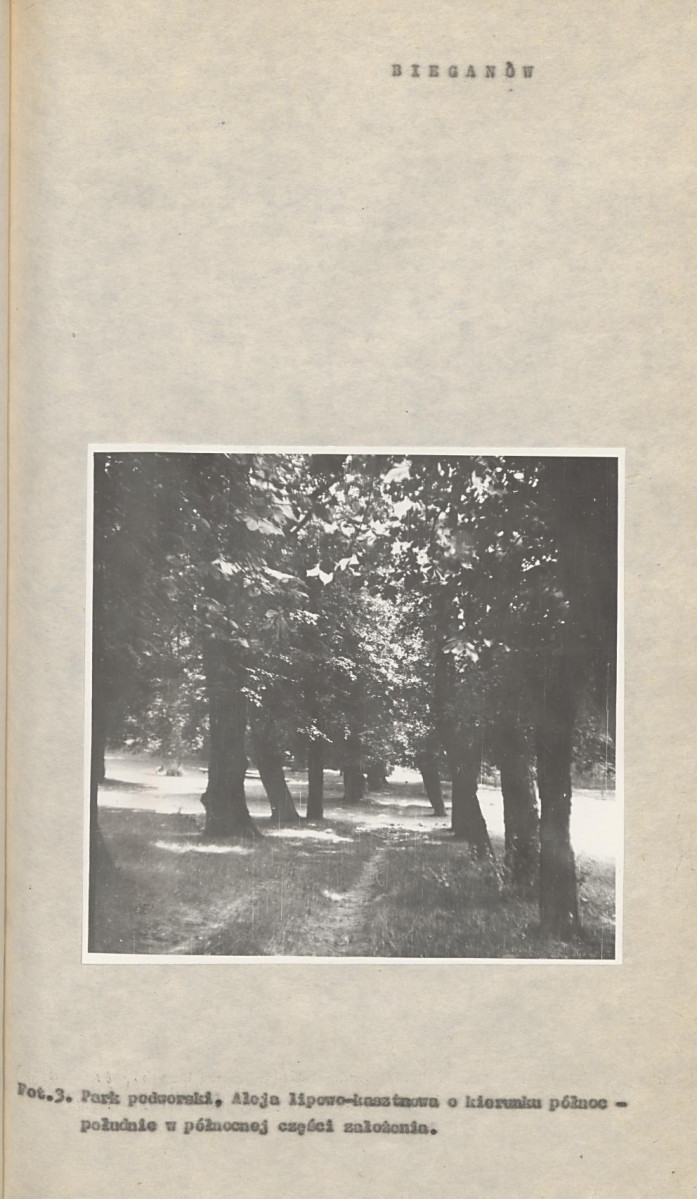 Ewidencja parkowa, skan nr 16