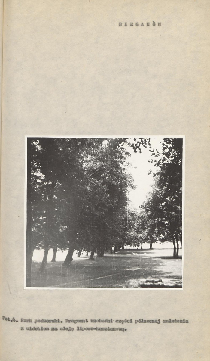 Ewidencja parkowa, skan nr 17