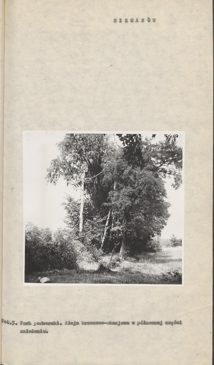 Ewidencja parkowa, skan nr 18