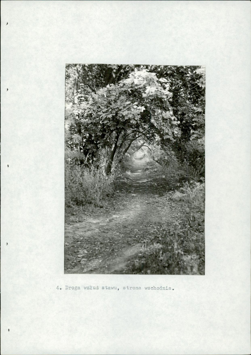 EP - Ewidencja parkowa, skan nr 27