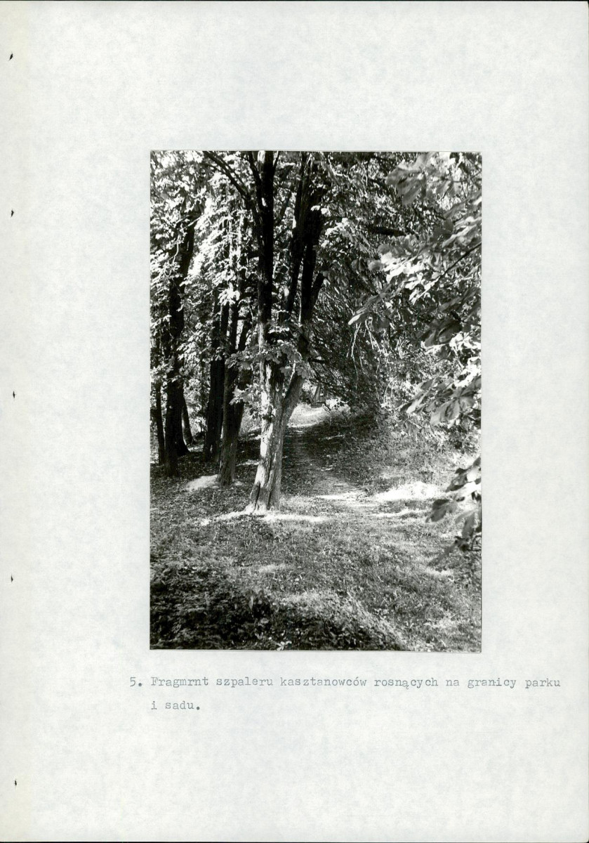 EP - Ewidencja parkowa, skan nr 28